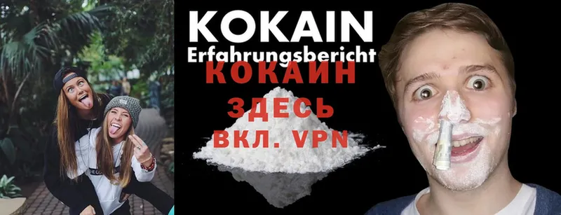 мориарти Telegram  Бежецк  Cocaine Fish Scale 